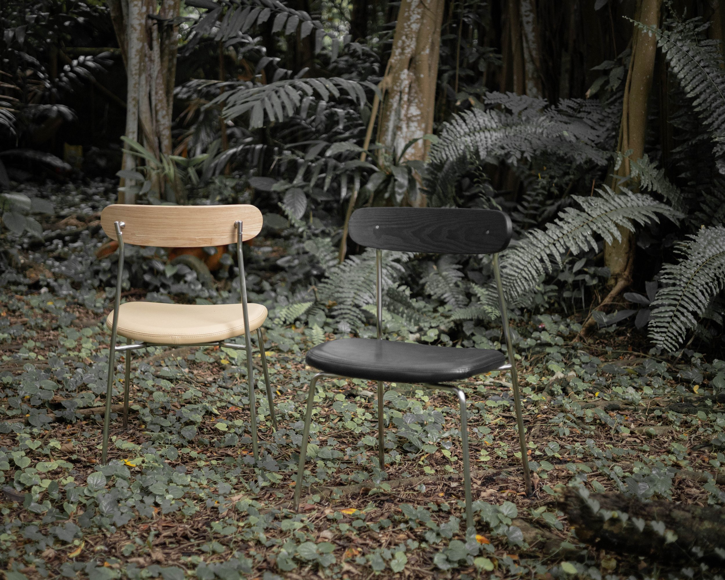 PASSERINE · plate 6