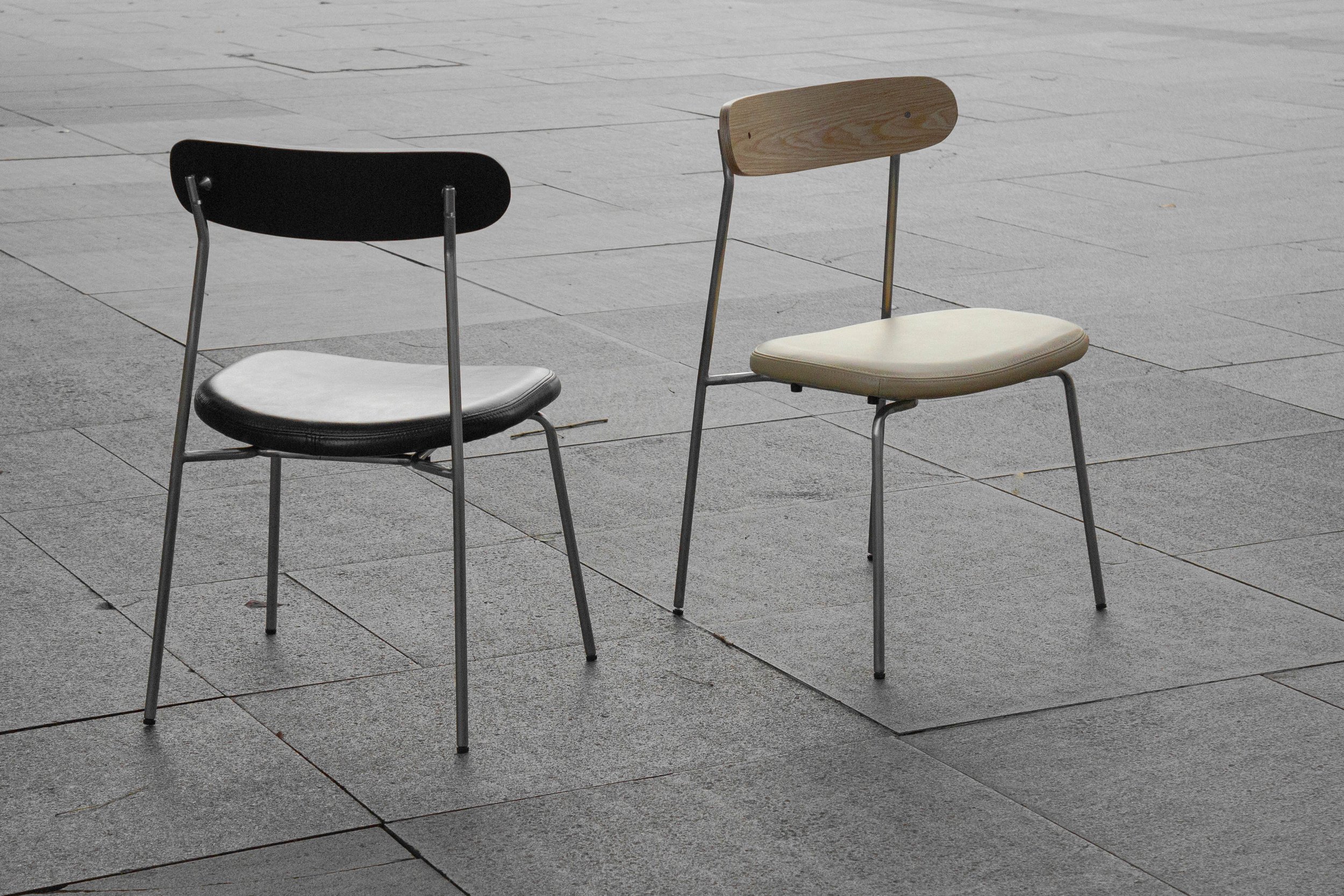 PASSERINE · plate 10